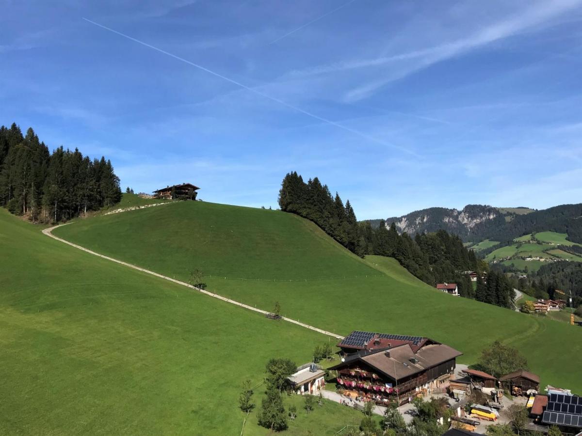 Apartment Chalet Edelweiss - Wil001 By Interhome Auffach Bagian luar foto