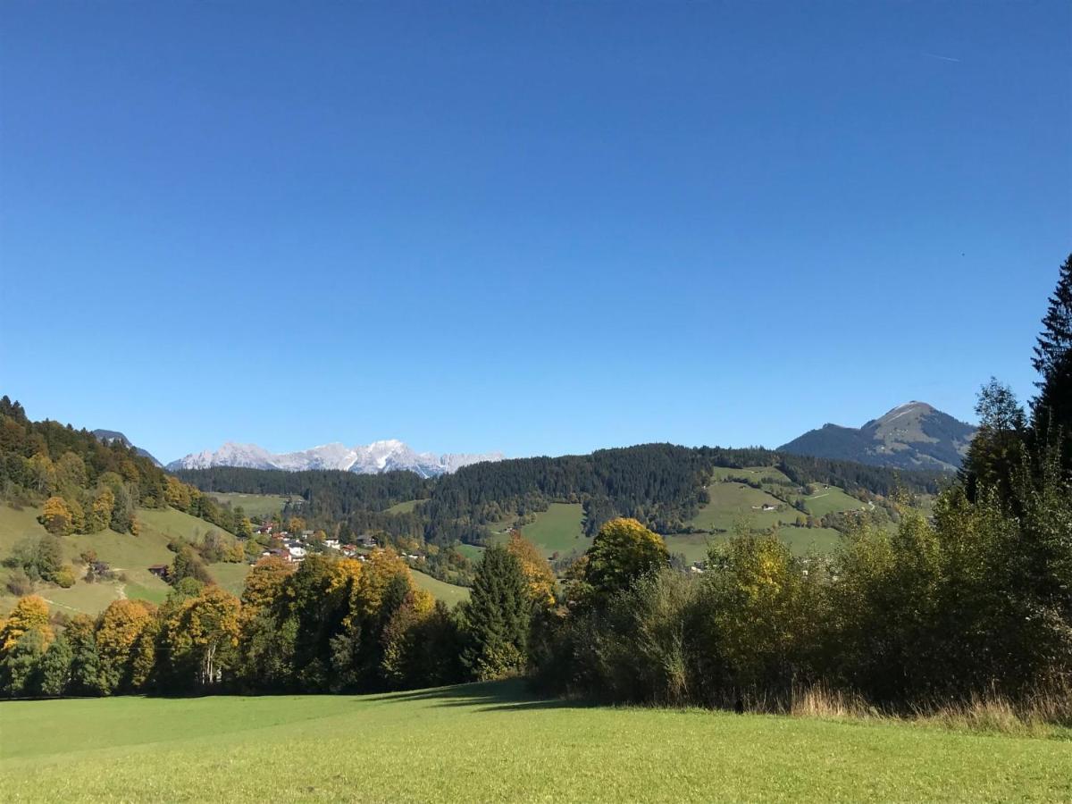 Apartment Chalet Edelweiss - Wil001 By Interhome Auffach Bagian luar foto