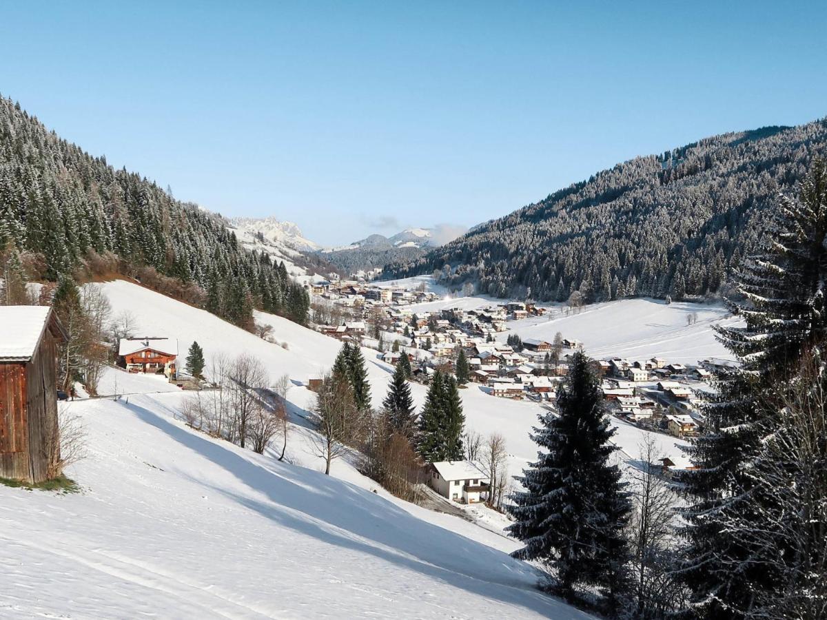 Apartment Chalet Edelweiss - Wil001 By Interhome Auffach Bagian luar foto